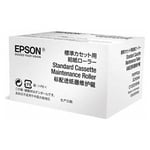 Epson S210049 rodillo de mantenimiento opcional | EPSS210049