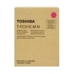 Toshiba T-FC31EM-N | TOST-FC31EM-N