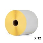 Q-Nomic Z-Perform 1000D (800284-605) etiquetas 102 x 152 mm (12 rollos) | QNB-800284-605C