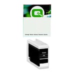 Q-Nomic T46S1 cartucho de tinta negro fotográfico | QNC13T46S100