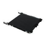 Canon FM1-A605-020 correa de transferencia | CAN-FM1-A605-020