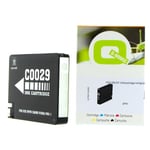 Q-Nomic PGI29LGY (4872B001) cartucho gris claro | QNPGI-29LGY