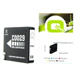 Q-Nomic PGI29CO (4879B001) cartucho chroma | QNPGI-29CO