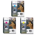 Epson T1306 pack 3 cartuchos | EPSB-T1306