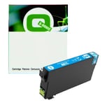Q-Nomic 407 (C13T07U240) cartucho de tinta cian | QN407C