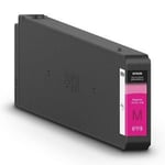 Epson C13T16A300 cartucho de tinta magenta | EPSC13T16A300