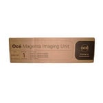 Océ 29951187 tambor magenta | OCE29951187