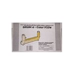 Olivetti B0620 Tambor amarillo | OLIB0620