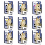 Epson T096 serie Pack cartuchos de tinta | EPSB-T096serie