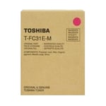 Toshiba T-FC31EM | TOST-FC31EM
