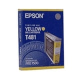 Epson T481 | EPST481