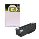 Q-Nomic 250 Cartucho de tinta negro | QNC13T16N14010C
