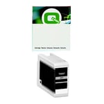 Q-Nomic T46S7 cartucho de tinta gris | QNC13T46S700