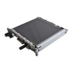 Sharp MX-607U1 correa de transferencia primaria | SHAMX-607U1