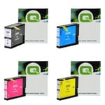 Q-Nomic Pack ahorro PGI-2500 4 Colores | QNPGI-2500