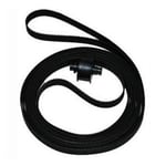HP Q6659-60175 correa de transferencia | HPQ6659-60175