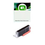 Q-Nomic PGI-530PGBK cartucho de tinta negro | QN6117C001