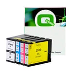 Q-Nomic Pack cartuchos de tinta PGI2500XL | QNB-PGI2500XL