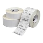 Zebra Cryocool 8000T 3004545 etiqueta blanca 51X25mm | ZEB3004545