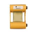 Zebra 800033-806 Cinta oro monocromo | ZEB800033-806
