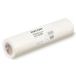 Ricoh DX 2430M priport master (817616) | RICDX2430M