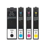 Primera pack cuatro colores 53422-53423-53424-53425 | PRIB-53422345