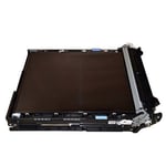 HP A2W77-67904 correa de transferencia | HPA2W77-67904