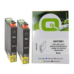 Q-Nomic T2991 Pack x2 cartuchos negro XL | QNT2991x2