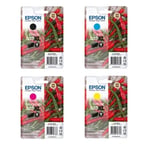 Epson 503XL Pack 4 cartuchos de tinta | EPSB-503XL