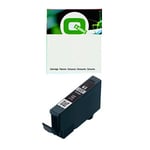 Q-Nomic CLI-65LGY cartucho de tinta gris claro | QNCLI-65LGY