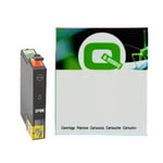 Q-Nomic BCI-3PBK Cartucho de tinta foto negro | QNBCI-3PBK