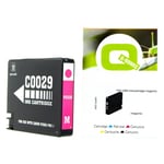Q-Nomic PGI29M (4874B001) cartucho magenta | QNPGI-29M
