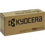 Kyocera DV-8570C revelador cian | KYO302XC93093