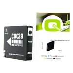 Q-Nomic PGI29MBK (4869B001) cartucho negro mate | QNPGI-29MBK