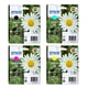 Epson 18 (T1806) Pack 4 colores | EPSB-T1806