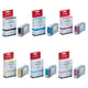 Canon BCI-1401 Pack 6 Cartuchos | CANB-BCI1401