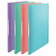 Esselte Carpeta de fundas | A4 60 fundas Colores surtidos