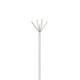 Ewent Cat6 | Cable de red | Gris | 305 metros