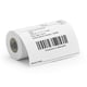 Zebra Z-Select 2000D 60 Receipt (01942-058Z) 58mm x 250m | ZEB01942-058Z
