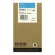Epson T6022 | EPST602200