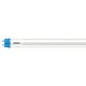 Philips CorePro T8-TL tubo 60 cm | 8 W | 6500 K