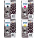 Epson 407 Pack Cartuchos de Tinta Negro + Colores | EPSB-407