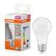 Osram bombilla LED E27 A60 mate luz fría 8W | 60W