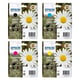 Epson 18XL (T1816) pack 4 cartuchos de tinta | EPSB-T1816