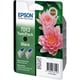 Epson Pack T013 (T01340210) | EPST013402