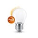Philips bombilla LED E27 mate luz cálida regulable 3.4W | 40W