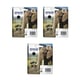 Epson 24 XL (T2431) Cartucho de tinta negro XL Pack ahorro 3 cartuchos | EPSB-T243140
