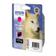 Epson T0963 | EPST0963401