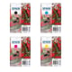 Epson 503XL Pack 4 cartuchos de tinta | EPSB-503XL