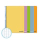 PACK x5: Cuaderno Espiral Folio | 80H | Cuadrícula 4mm | Tapa Dura| 75gr (Surtidos)